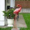 Bright Standing Flamingo Looking Back