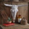 Longhorn Resin Skull - Western Decor Wall Mount Art with Realistic Detailing