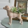 Adorable Resin Puppy Planter - Perfect for Succulents and Small Plants