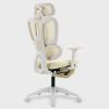 Multi-functional Ergonomic Mesh Office Chair with Adjustable Armrest,Footrest,Lumbar Support, 360¬∞  Silent Wheels,Headrest for Home & Office